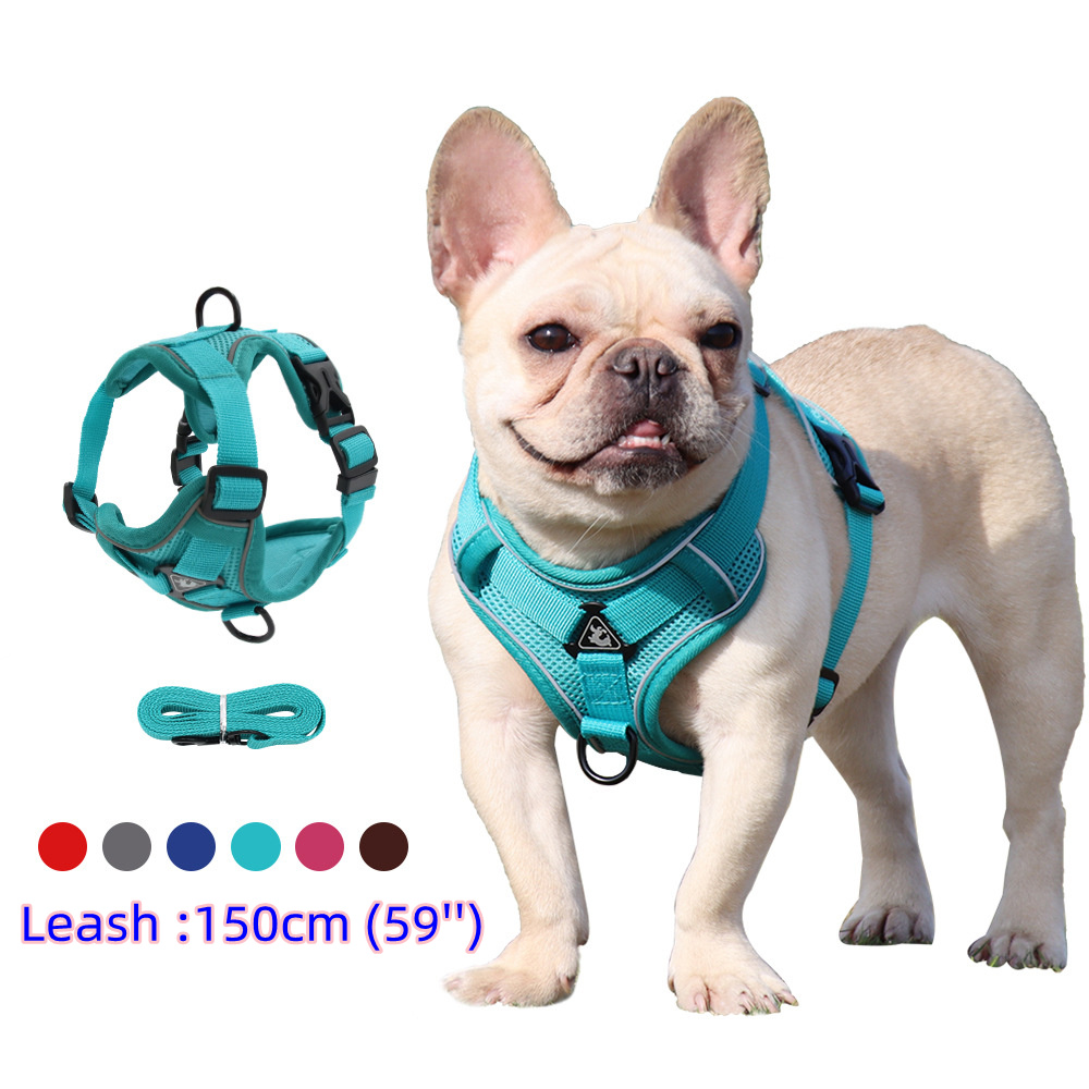 Off White Belt - Dây Và Dây Xích Bộ Thú