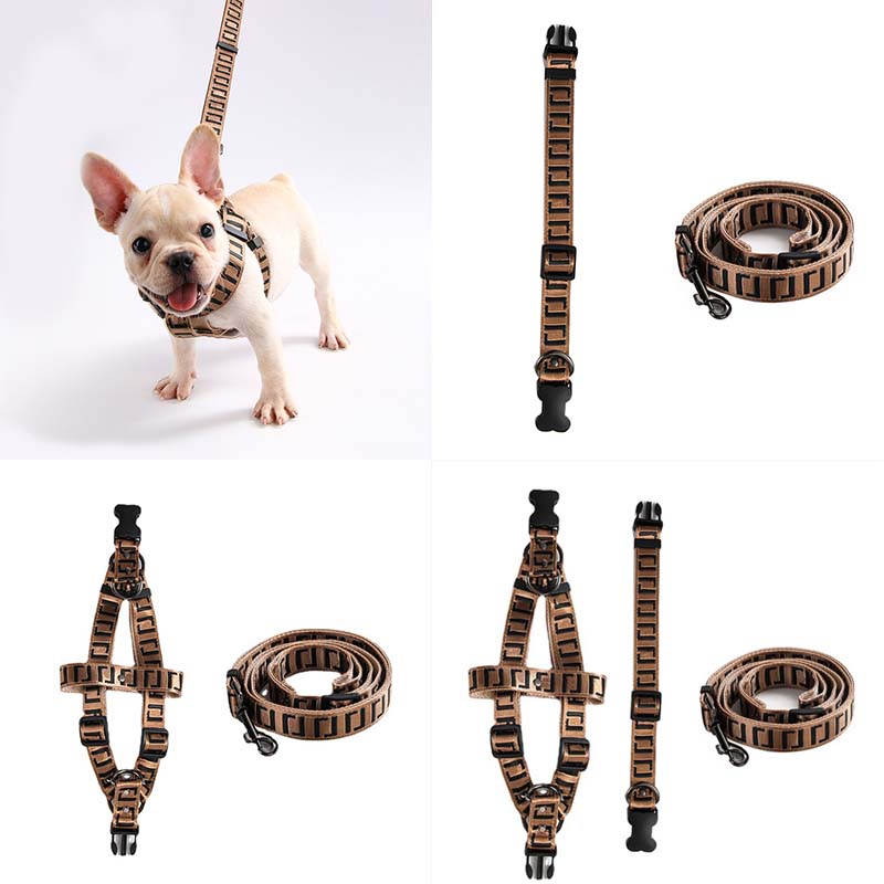 Off White Belt - Personalized Dog Harness No Pull Dog