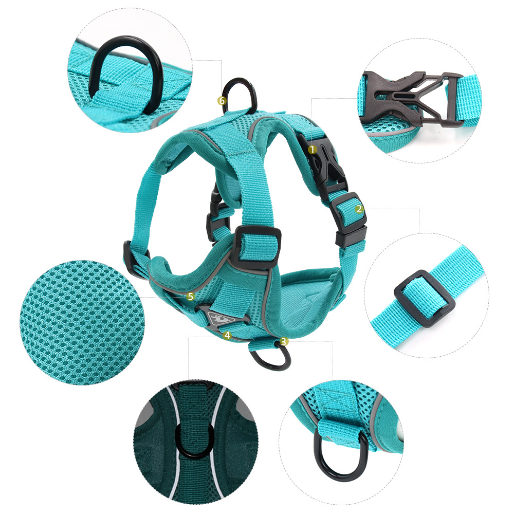 Dây Và Dây Xích Bộ Thú Cưng Ph - đánh giá và giá Off White Belt