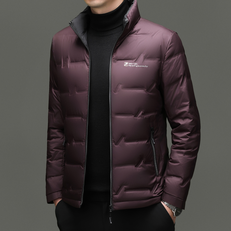 Winter Down Jacket 2026 Light  - đánh giá và giá Streetwear Brand Jacket